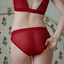 Everyday Flow Brief - low rise (mesh) - deep red